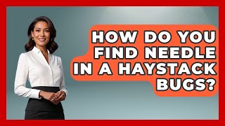 How Do You Find Needle In A Haystack Bugs? - Learn To Troubleshoot