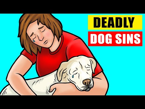 Video: 11 načinov, kako lahko nehote skrajšate življenje svojega psa