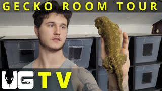 Gecko Room Tour