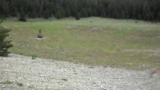 SDC10269.AVI