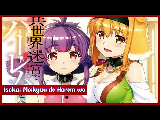 Isekai Meikyu de Harem wo tendrá anime el próximo verano