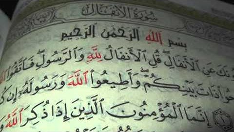 الشيخ | محمد الحسن | .. سورة الأنفال