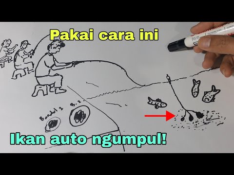 Teknik baru mancing ikan pakai pengumpul ikan dua bandul.