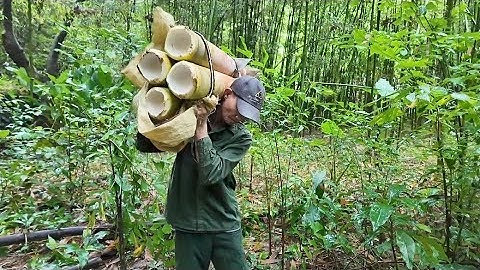 DŨNG THẬT THÀ ||MỘT NGÀY ĐI LẤY MĂNG RỪNG TOÀN MĂNG K.H.Ủ.NG