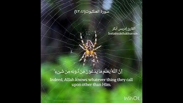 سورة العنكبوت ٤١-٤٣ لشيخ ادريس أبكر...Surah Ankaboot ayats 41-43 by Sheikh Idress Abkar