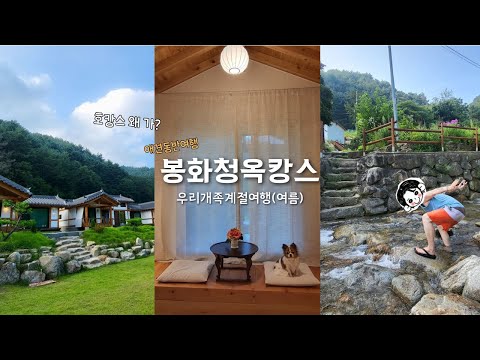 [VLOG]우리개족 계절여행2(봉화) 애견동반 인생숙소 찾으면 여기 / 호캉스 왜가? 청옥캉스가지 / 애견동반여행 / 봉화여행 / 숙소리뷰 / 여행브이로그