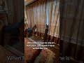 My Dogs Know More Than I Do ЁЯШВЁЯдг My Dogs Know More Than I Do ЁЯШВЁЯдг