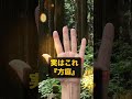 龍神様に守られている人の手相3選✨️3つのうち、いくつありましたか？1、2、3で、コメント欄に数字で教えてくださいね🌸#手相 #手相占い #龍神