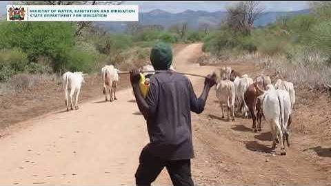 The SDI is turning ASAL challenges into opportunities that will build a food secure future 