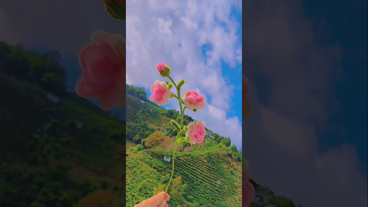 Niuniuban Curly Rose 🌹 