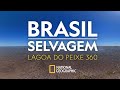 BRASIL SELVAGEM: Lagoa do Peixe | 360 °