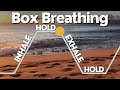 Guided Box Breathing: 5-5-5-5