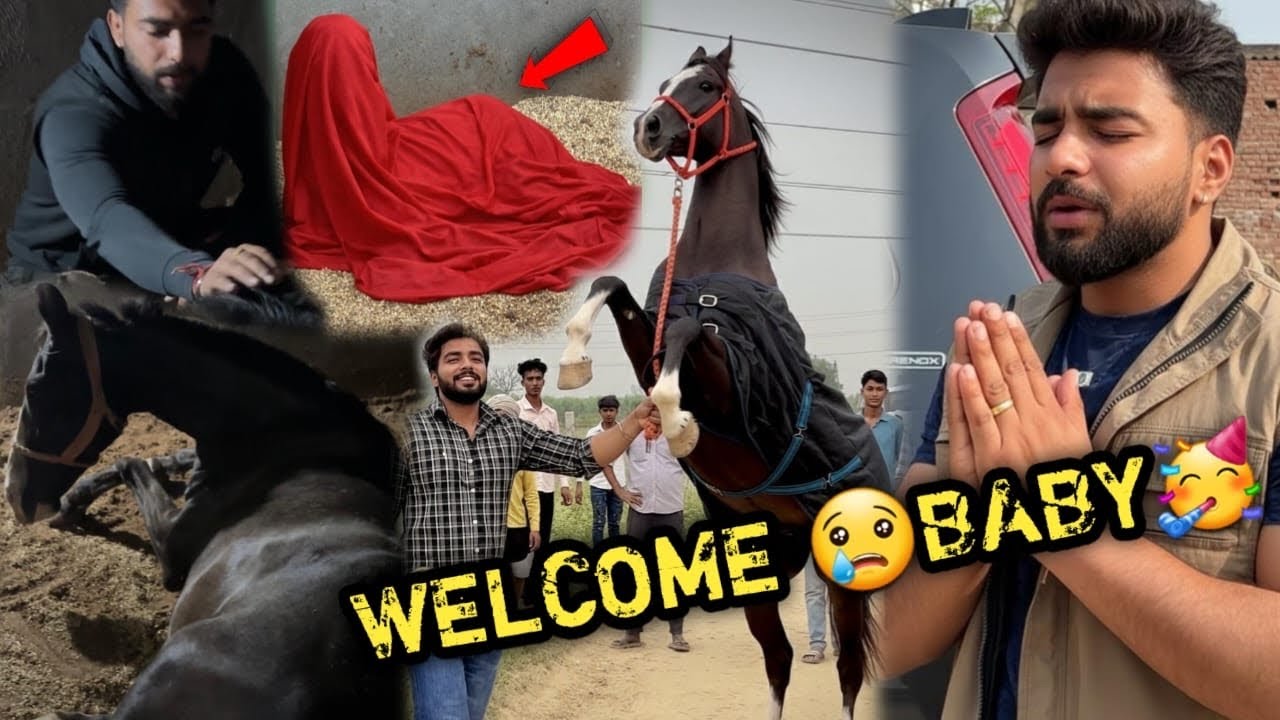 Aisa Chamatkar Nahi Dekha😭Welcome To The World 💕🥳Mera Raftaar Baap Ban Gya🔥💕Itna Sundar 😍