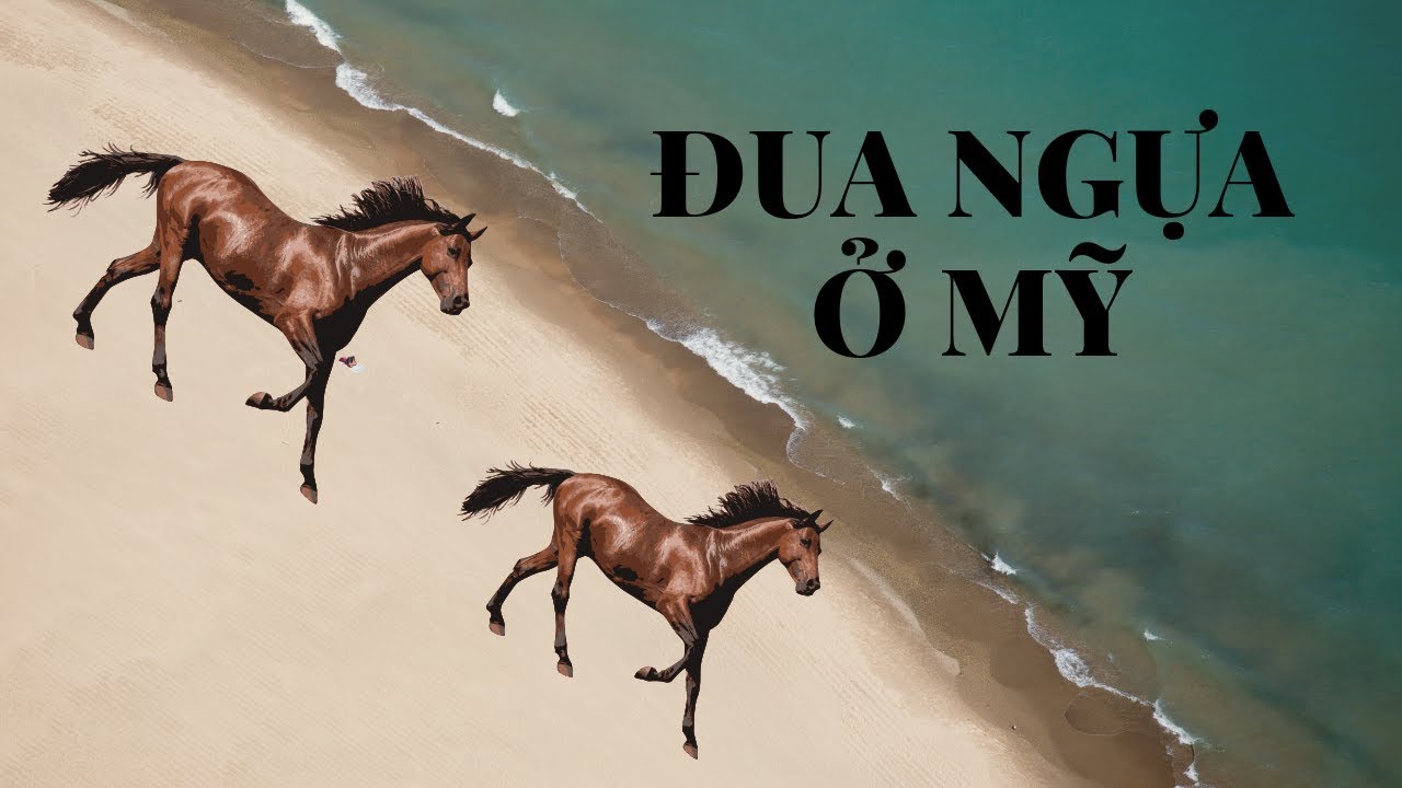 Đua ngựa ở Mỹ