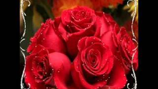 VICTIMS OF LOVE  air supply