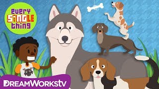 ♪ Why Are Dogs "Man's Best Friend"? | EVERY SINGLE THING