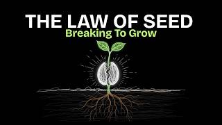 The Law of the Seed || Breaking Open to Destiny