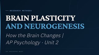 Brain Plasticity and Neurogenesis: How the Brain Changes | AP Psychology · Unit 2 | AP Psychology ·