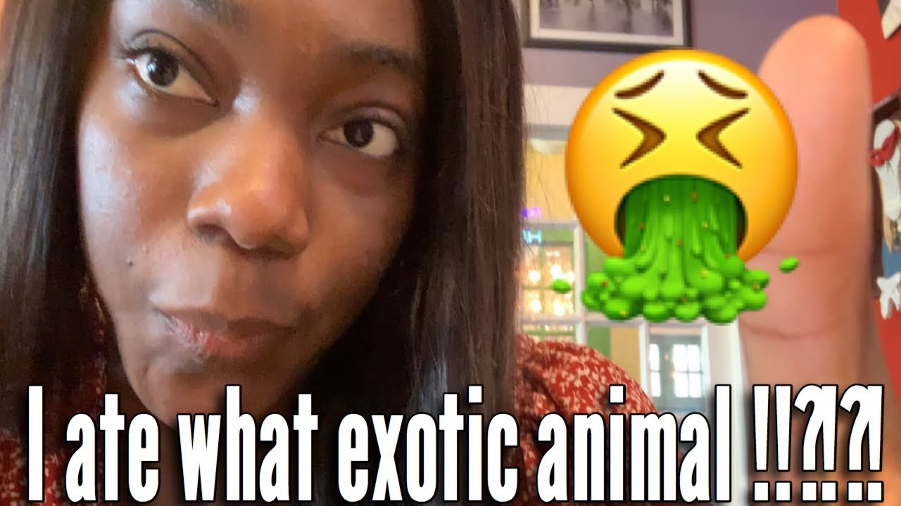 I ATE WHAT EXOTIC ANIMAL!? TEXAS EDITION - YouTube