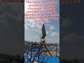 Radar integrated system, wide range of accurate detection, strong multi-target tracking ability