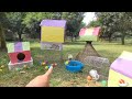 Tangkap ayam lucu ayam warna warni ayam rainbow gokil kelinci kucing lucu bebek hewan lucu 79