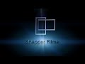 Snapper films 2004