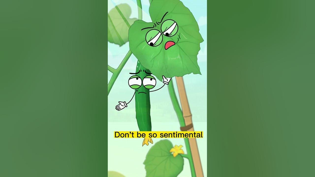 why-does-cucumber-have-thorns-science-knowledge-doyouknow-plants