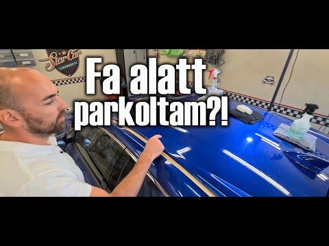 Videó: Hogyan távolítsuk el a fatönköt?