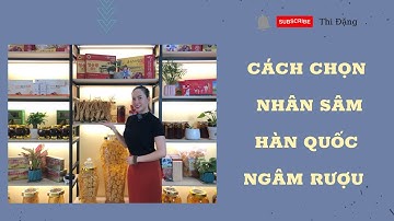 Cách Chọn Nhân Sâm Tươi Hàn Quốc Ngâm Rượu Chuẩn Nhất - Thi Đặng