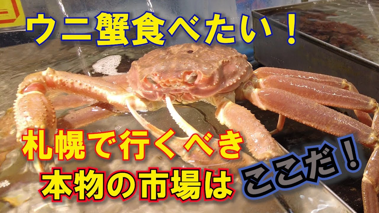 【札幌 丼 11軒目】札幌の料理人が仕入れに行くリアル札幌市場を訪問。外の観光市場と比べるとイクラが半額！本物の市場で海鮮丼を喰らう！