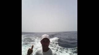 7Ar9A Ltalyen 2016