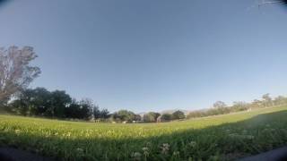 Speed Run Vortex 285 maximum fpv cam tilt