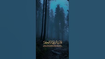 #سورة_الأحقاف#القارئ_اسلام_صبحي
