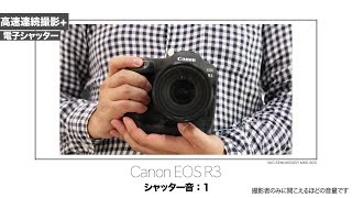 Canon EOS R3 - シャッター音  : メカシャッター\u0026電子シャッター | Shutter Sound