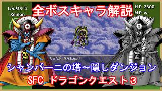 【ドラゴンクエスト3】 全ボスキャラ解説【SFC版】