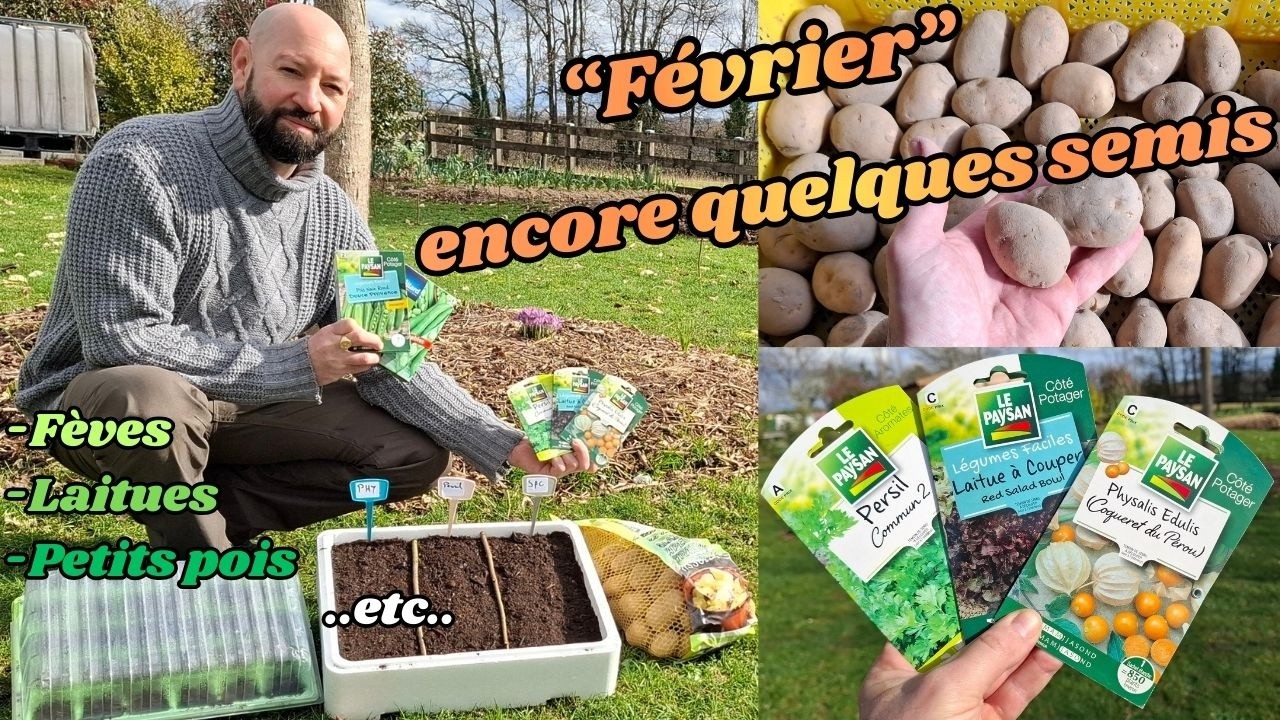 Semer, fèves, petits pois, persil..etc..