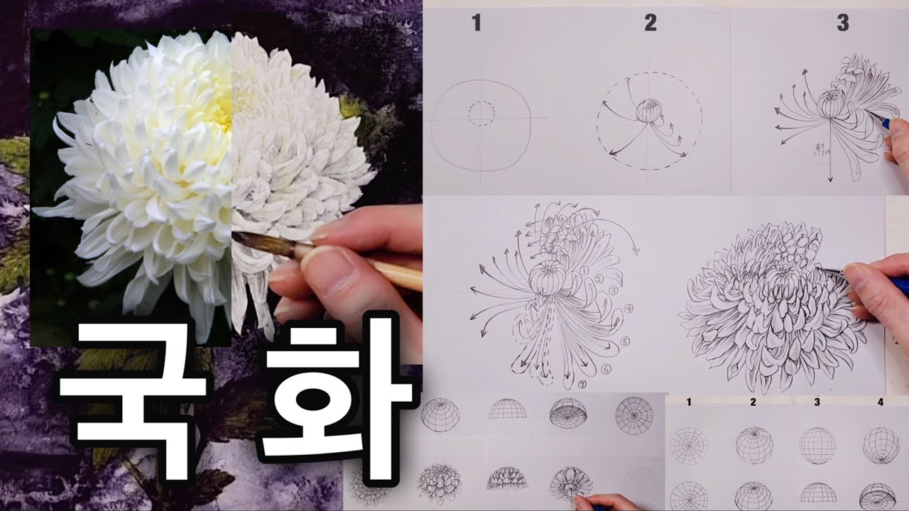 [초급자~고수 레벨] 이 한편의 영상으로  