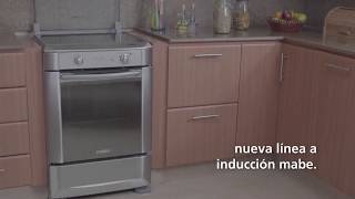 Estufa Deslizable por Inducción de 30\