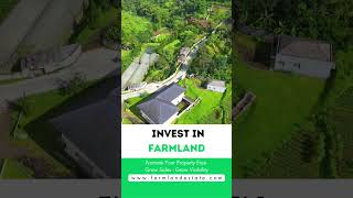 INVEST IN FARM LAND OR VILLA | FARM LAND FOR SALE | EXCLUSIVE CLASSIFIEDS PLATFORM