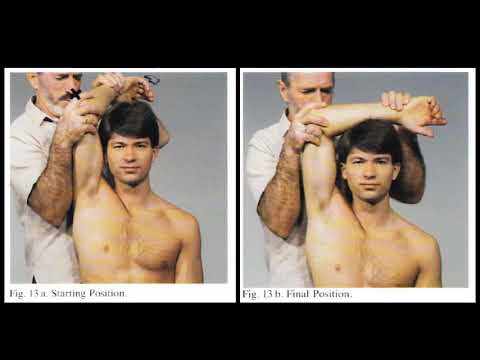 Video Giải phẫu 3D Phần 2 | Nhóm cơ khép vai & cách kéo giãn... - youtube