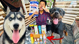Special For You😍 || Shopping For My Dogs🛍 Rottweiler dog, Husky dog, Dog video , review reloaded