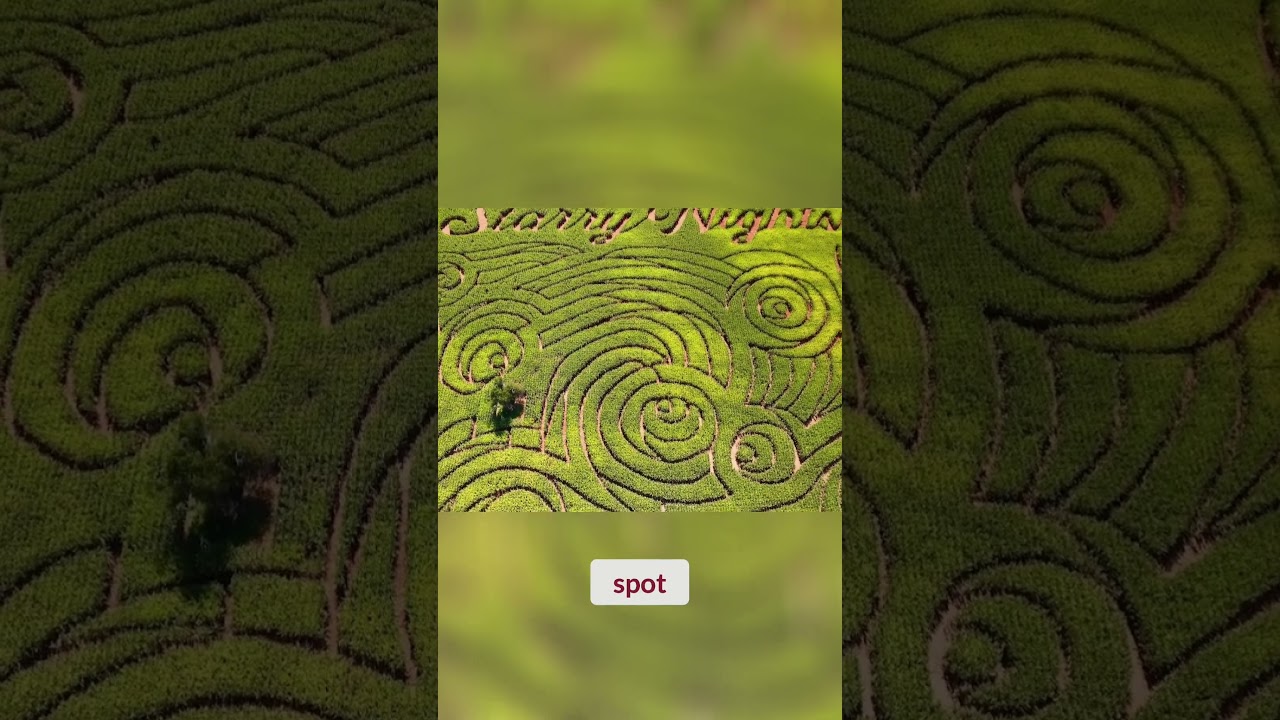 Explore America's Largest Corn Maze