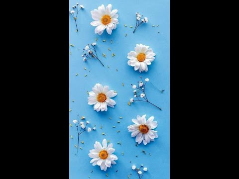 Video BỆNH ÁN VIÊM TỤY CẤP - CÔ NHUNG ( 2 ) - youtube