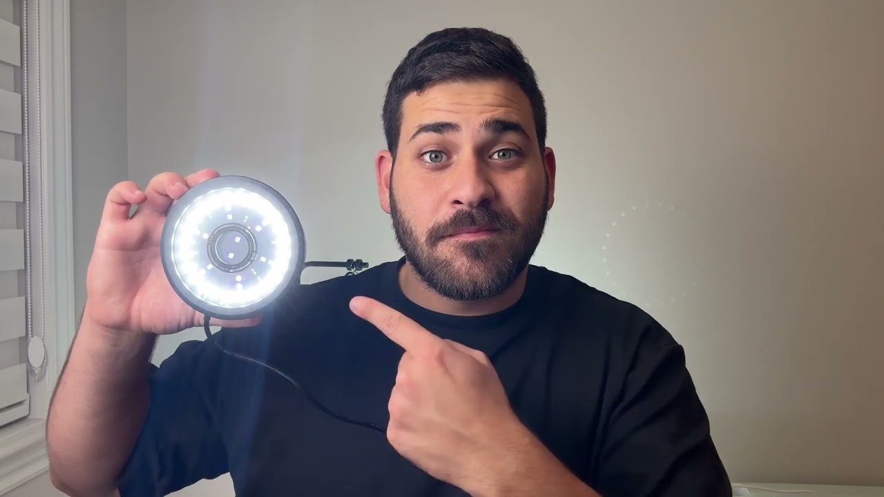 Pictus Gecko Setup & Care Guide!