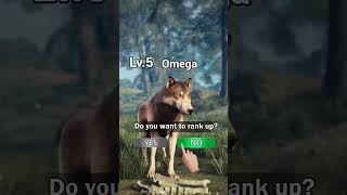 WOLF GAME | Are U the Weakest Wolf? #wolf #animals #shorts