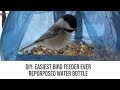 DIY | Easiest Bird Feeder Ever | Repurposed Bottle