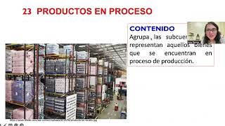 PLAN CONTABLE- ELEMENTO 2: Activo Realizable - CUENTA 20 a la 29 - TEORÍA Y PRÁCTICA