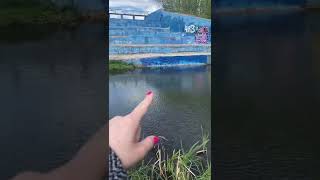 Лягушата 🐸🐸🐸 в парке 🌳🍃