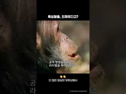 <strong>혹성탈출</strong>, 진짜였다고?