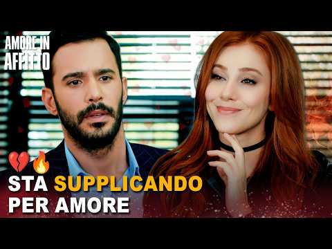 Ömer implora un’ultima possibilità 🥺💔| Con sottotitoli in italiano | Kiralık Ask